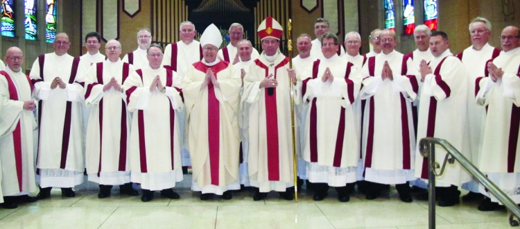 Newly ordained permanent deacons share their journeys – Catholic Telegraph