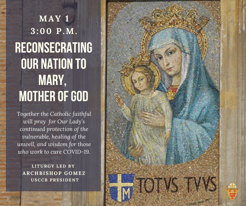 everything you need to know about the reconsecration of the united states to mary mother of the church catholic telegraph mary mother of the church